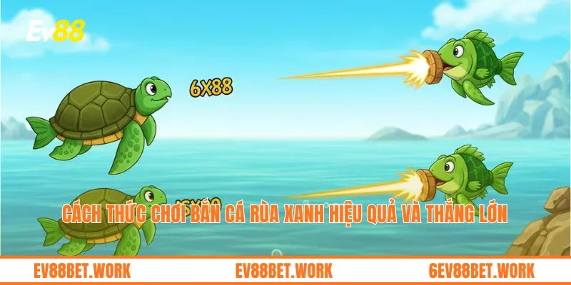 Cách thức chơi bắn cá rùa xanh hiệu quả và thắng lớn