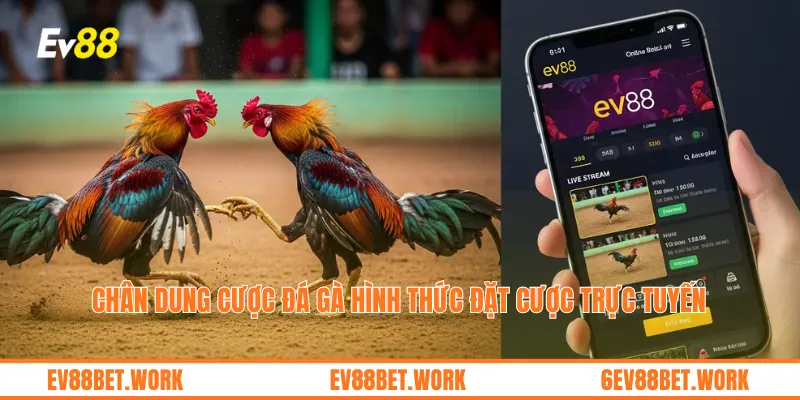 Chân dung cược Đá Gà hình thức đặt cược trực tuyến