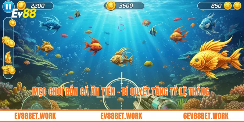 Mẹo Chơi Bắn Cá Ăn Tiền - Bí Quyết Tăng Tỷ Lệ Thắng 
