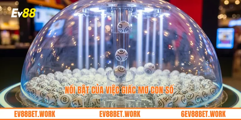 Nổi bật của việc giấc mơ con số 