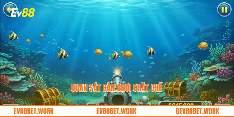 Quan sát bàn chơi chặt chẽ