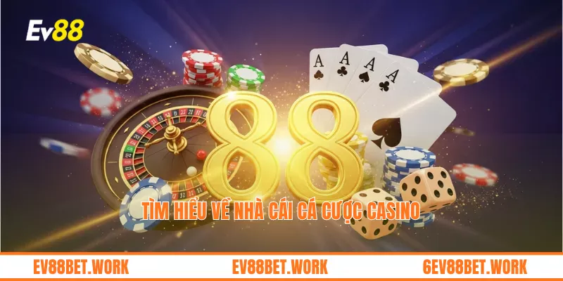 Tìm hiểu về nhà cái cá cược casino