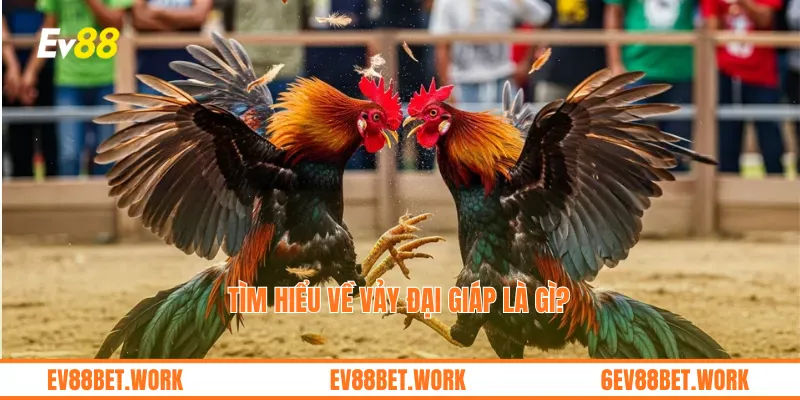 Tìm hiểu về vảy đại giáp là gì?