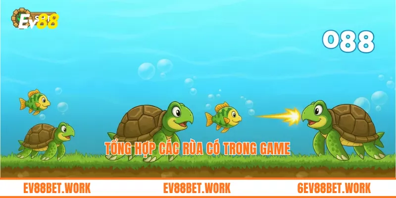 Tổng hợp các rùa có trong game