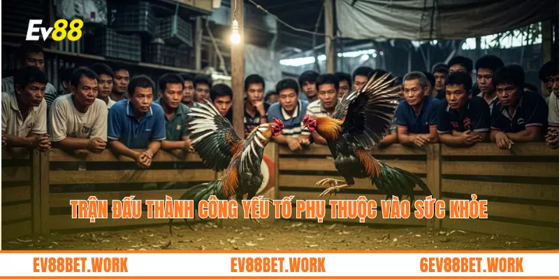 Trận đấu thành công yếu tố phụ thuộc vào sức khỏe